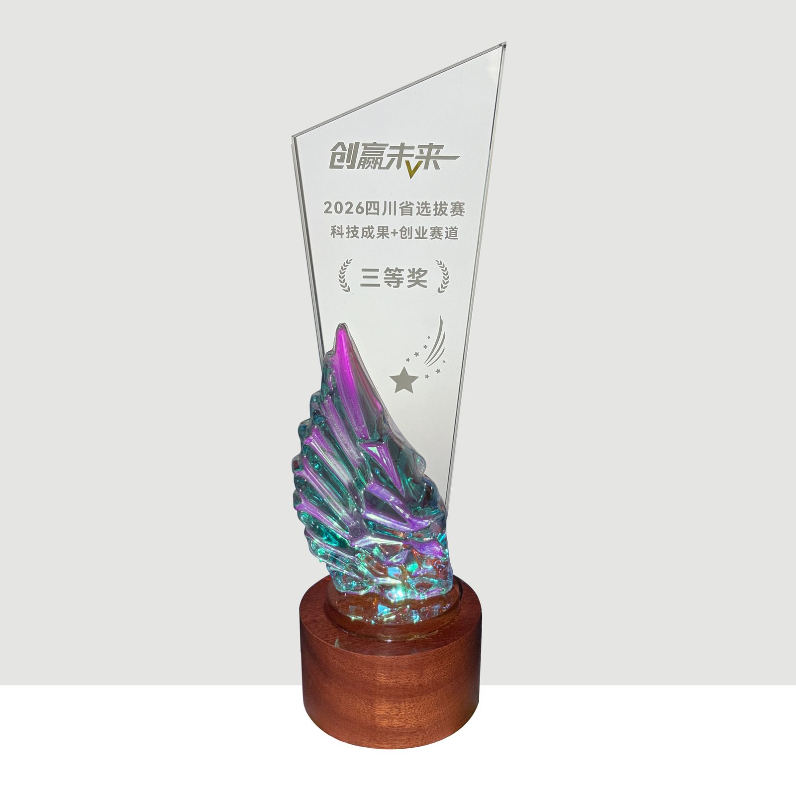 【三等奖】创业大赛四川赛区